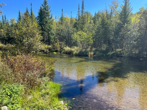 Honor House | Sleeping Bear Riverside Cabins