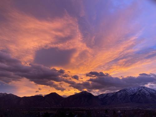 Payson House | Sleeps 20! Rare Family Friendly House.
