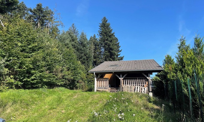 Dommartin-les-Remiremont Ski Chalet | Small chalet and large green area for pets.