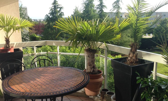 Pouilly Apartment | small paradise with terrace large swimming pool in peace 10 minutes from the historic center