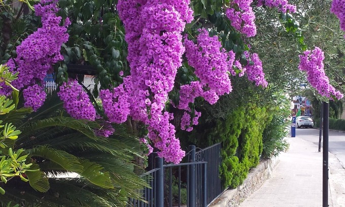 Palinuro Villa | Small villa with garden, parking space, private access to the sea 4 + 2 beds