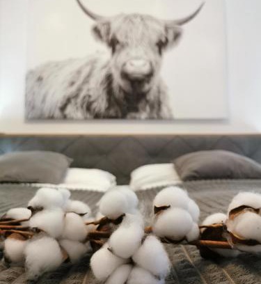 Mitte Apartment | SmartApart - Design Apartment - Favorite Place - Full Equipment - Public Transport