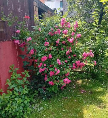 Bajina Basta Apartment | Smeštaj Vesna
