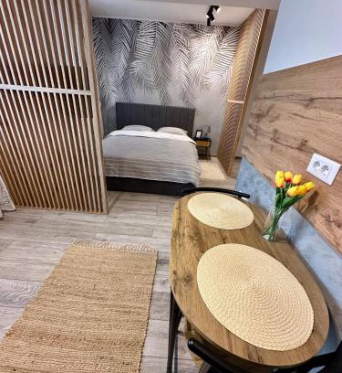 Tirgu Neamt Apartment | Sofia Residence Studio Cetate