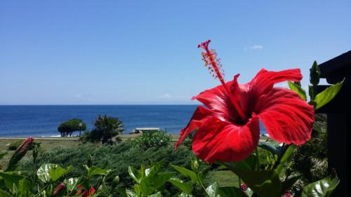 Stintino Apartment | Sogno sul mare