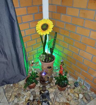 Pedrita Apartment | Sol do Girassol