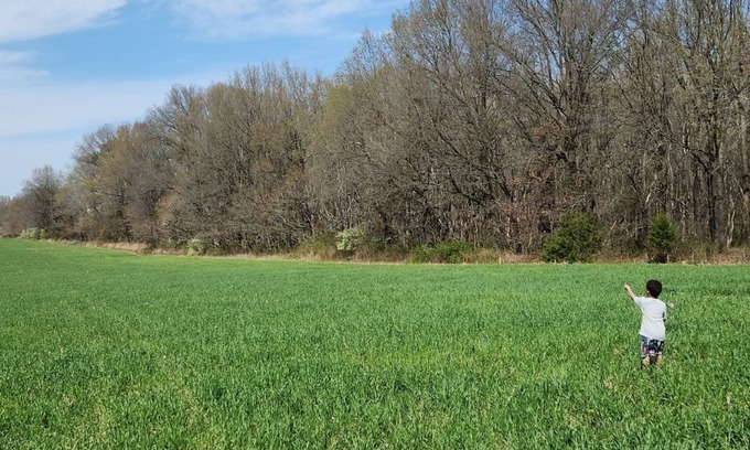 Saline County RV Rental | Solar eclipse in Southern Illinois! Perfect space view and privacy