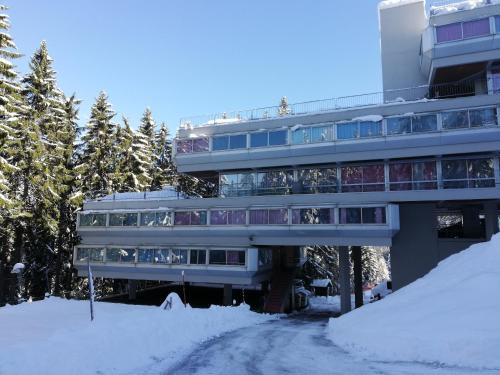 Marilleva Apartment | Sole Alto Appartamenti Montana