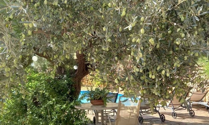 Caimari Cottage | SOLIVA.
