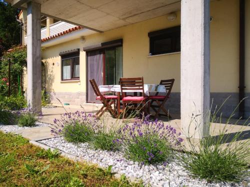 Seca Apartment | Solmar, Apartment with big terrace near nature