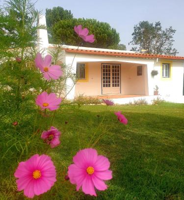 Sao Martinho do Porto Ski Chalet | Sondela Self Catering
