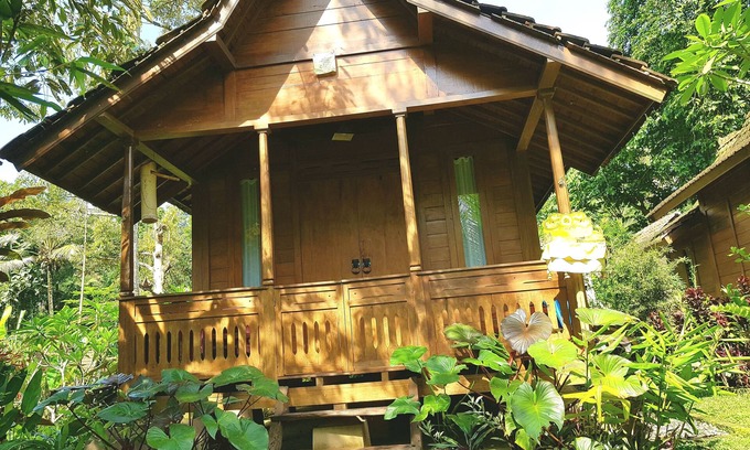 Payangan Bed & Breakfast | Song Broek Jungle Resort