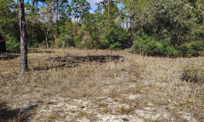Edgar RV Rental | Soothing campground in Interlachen for a peaceful getaway