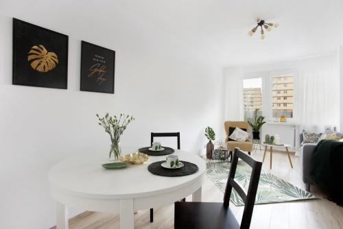 Kamienny Potok Apartment | Sopociak Apartment