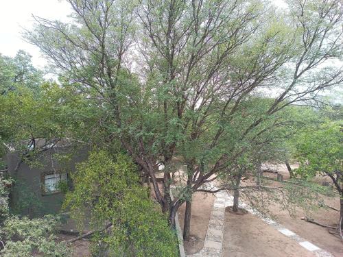 Maruleng Cabin | Sorabi Rock Safari Lodge