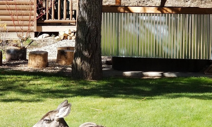 Lowman Hotel | Sourdough Lodge
