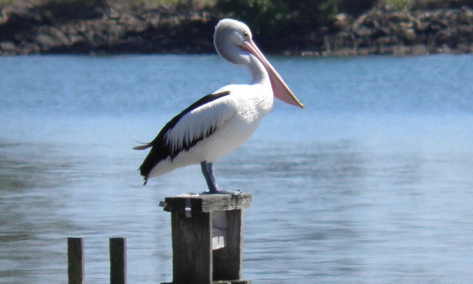 Keith Hall House | South Ballina Riverside Retreat
