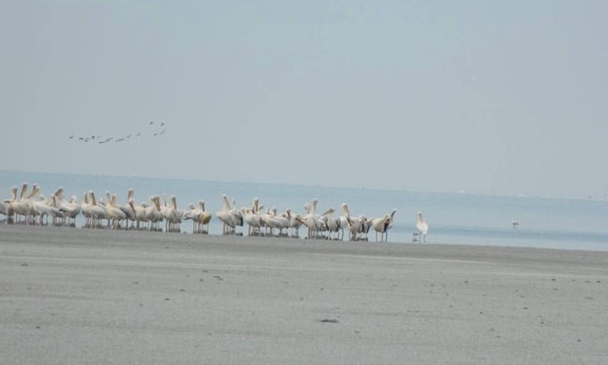 Nxai Pan National Park Other | South Mobile Camp