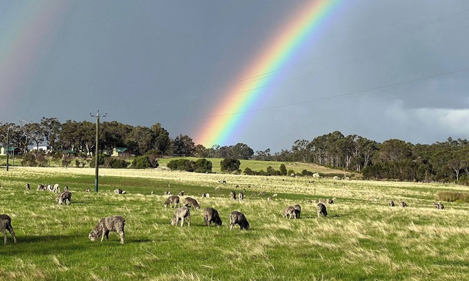 Bow Bridge Other | Southern Grazing - Working Farm