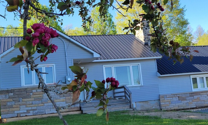 Carlow/Mayo House | Spacious 5-bedroom house in charming Mayo with WiFi, AC