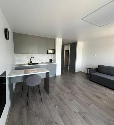 Snipiskes Apartment | Spacious, cozy place in Vilnius