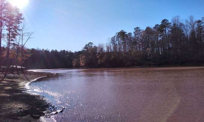 Seneca House | Spacious House on the hill , Lake access , quiet, Central to Clemson and Seneca
