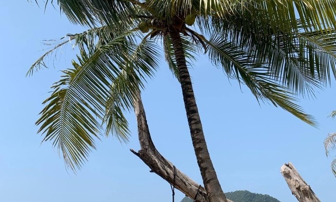 Ko Chang Villa | Spacious luxury villa with private pool, gardens on Koh Chang, Thailand