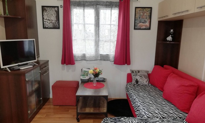 Coulanges House | SPACIOUS MOBILE HOME 38 M2-AIR-CONDITIONED-2 BEDROOMS- WASHING MACHINE