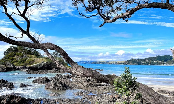 Oakura House | Spacious Oakura Bay Holiday Home