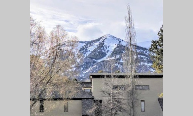 Moose Wilson Road Apartment | Spectacular Mountain Condo