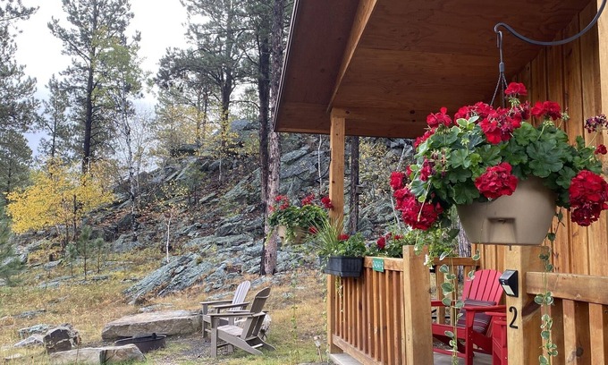 Rapid City Cabin | Spectacular setting, amenities, and centrally located to Mt. Rushmore and Custer State Park, and hiking. Wi-Fi. Excellent cell service (Verizon & ATT).A favorite cabin for honeymoons and anniversaries Private campfire. Off-season discounts. No extra