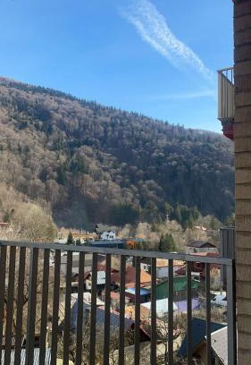 Sinaia Apartment | Splendid view Sinaia