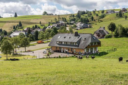 Hofsgrund Apartment | Sport Rees - Ferienwohnung Pia