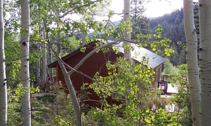 Salida Cabin | Spruce Ridge Cabin Close to Monarch and Salida on Little Cochetopa Creek