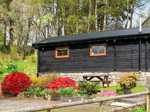 Newtonmore House | Squirrel View