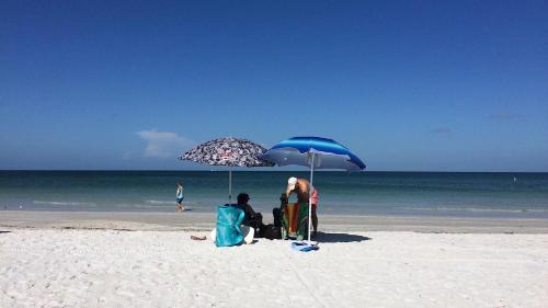 Crescent Lake Apartment | St Pete Vacation Rentals