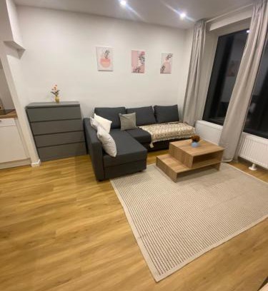 Uelzen Apartment | Stadtwald Appartement Christa