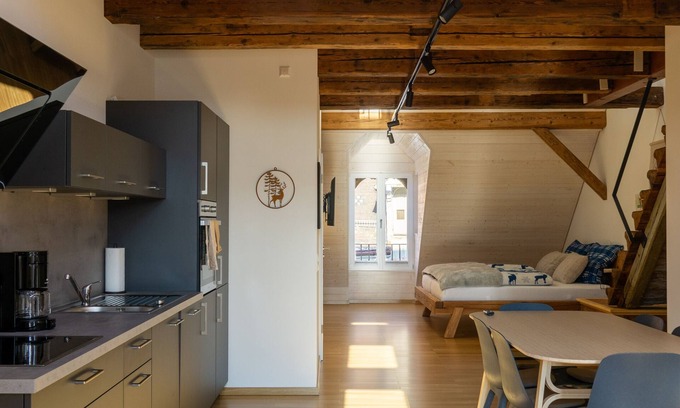 Villingen-Schwenningen Apartment | Stadtwohnung im Kernsanierten Historischen Gebäude