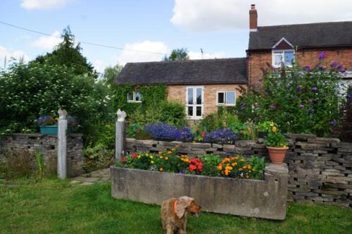 Stanley Common Apartment | Stag Cottage