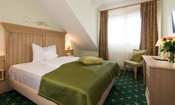 Steinbach Apartment | Standard Doppelzimmer