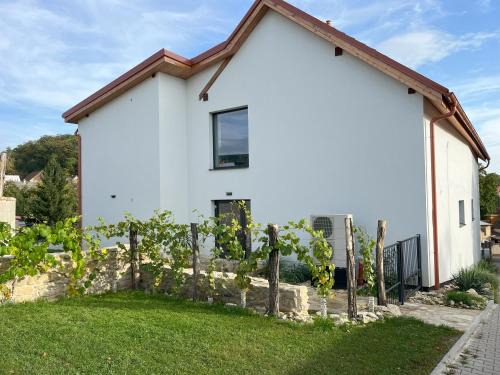 Velke Zernoseky House | Stará Vinice Velké Žernoseky 93
