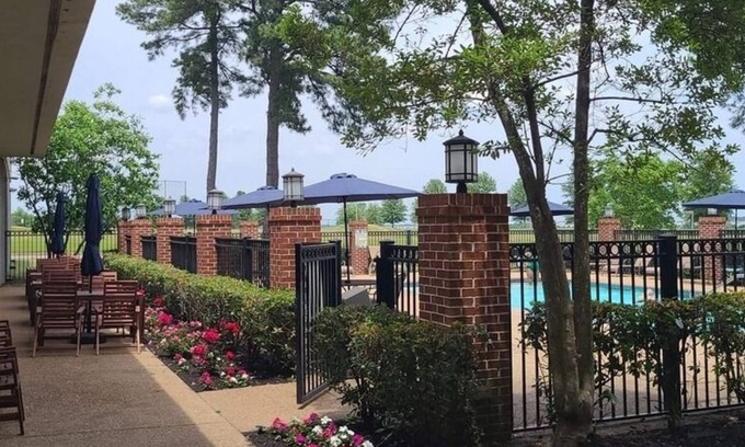 Olive Branch House | Stay with us for a warm southern hospitality. Free homecooked buffet Breakfast.