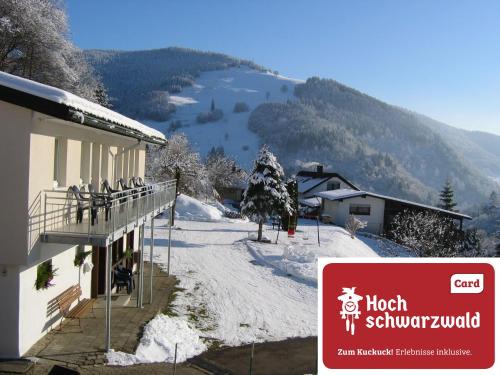 Aftersteg Apartment | Steiert Panorama Apartments Todtnau
