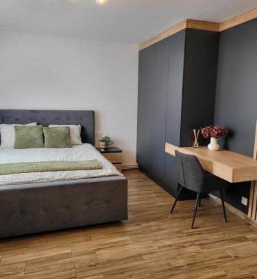Tirgu Mures Apartment | Stella