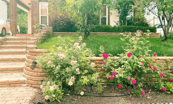 Sterling House | Sterling 4BR- Sleep 8 Private backyard 10 Min to IAD.