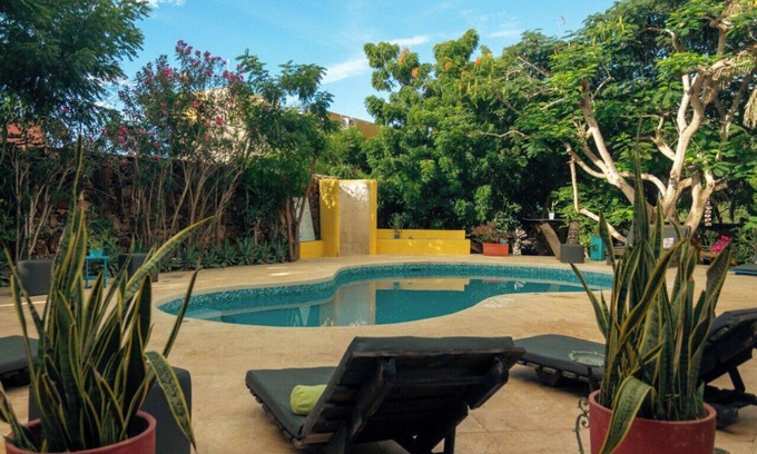 Margarita Island Hotel | Stevie WonderLand