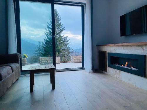 Sinaia Apartment | Stone Apartment with sauna Sinaia