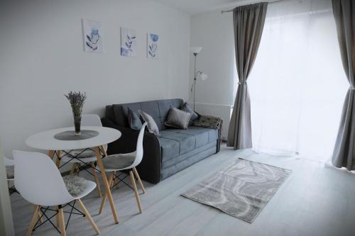 Tirgu Mures Apartment | Stone Hill Apartment