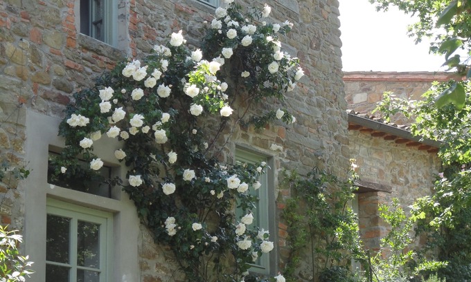 Greve in Chianti House | Stop and stay in Chianti! The Bracconiere