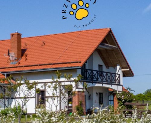 Paszowice House | Storczykowe Wzgórze